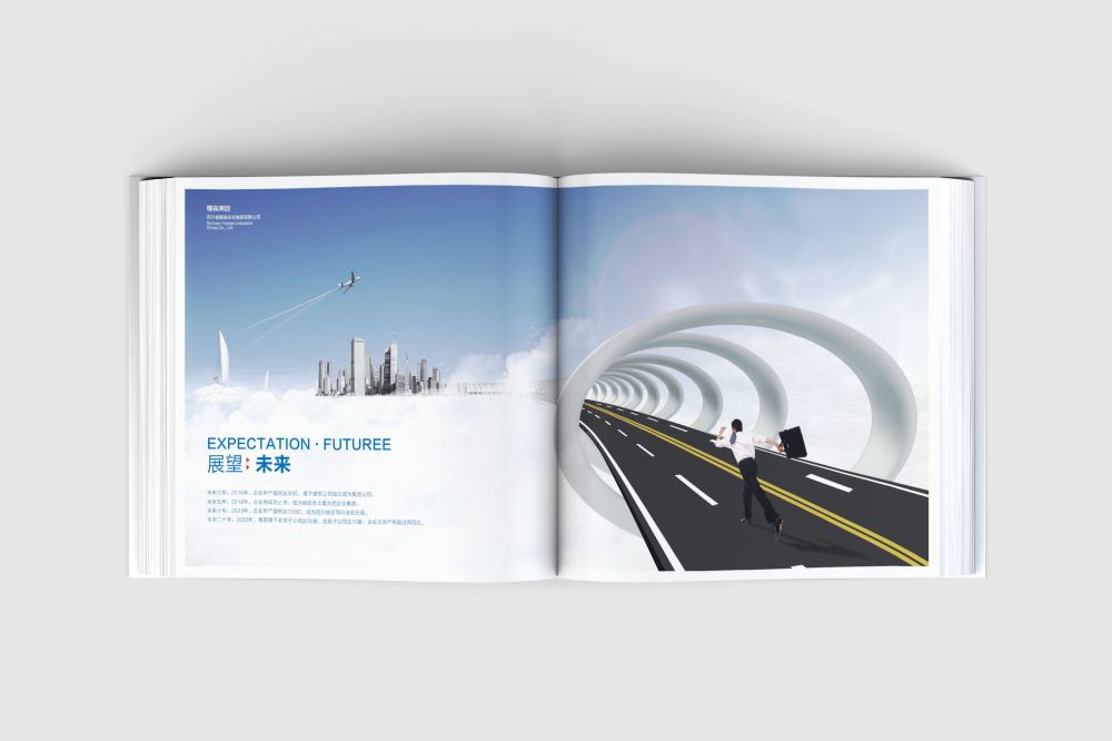 镜湖区画册设计